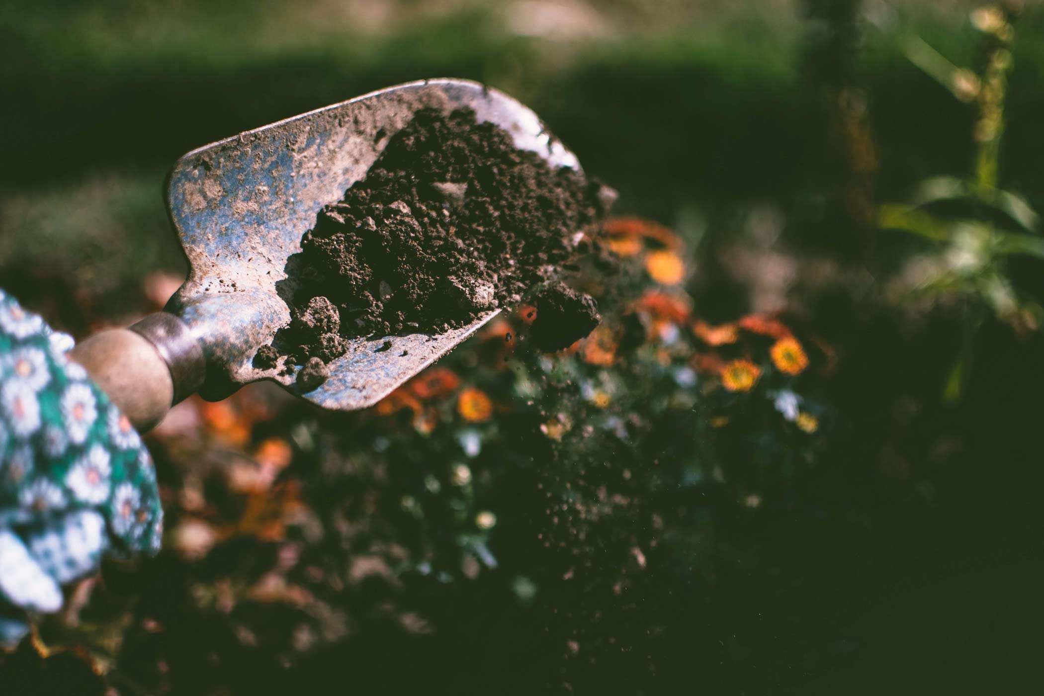 Biological Remediation