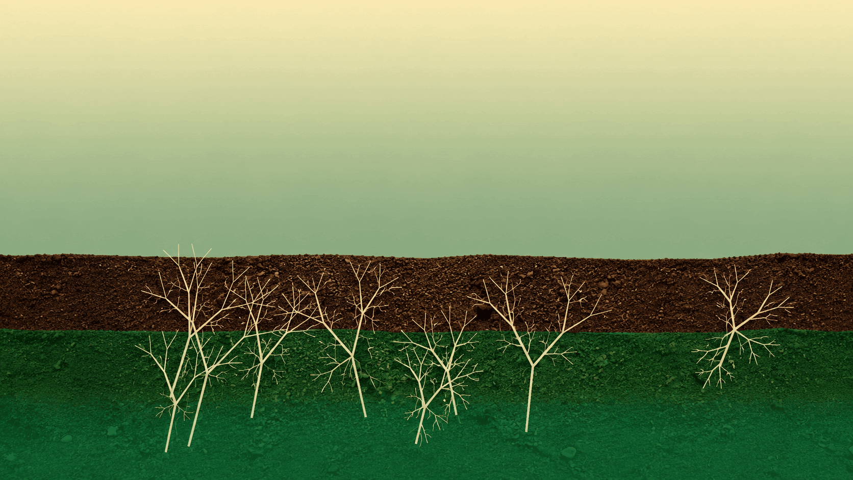 Restored, remediated land after treatment